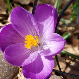 Meet your Posher, Sheryl